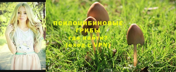 бутират Покровск
