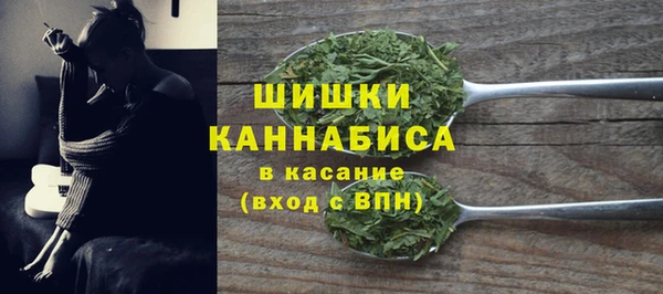 ECSTASY Покачи