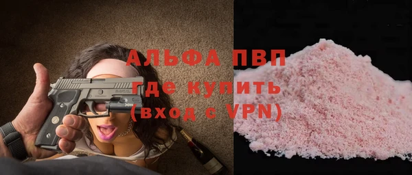 ECSTASY Покачи
